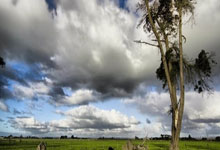 英足联赛杯到底是个什么样的赛事？