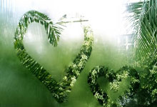 波兰足球队2024年阵容实力如何？核心球员都有谁？