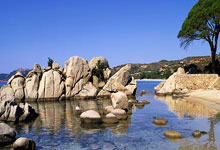 瑞典超级甲组联赛是怎样的联赛？